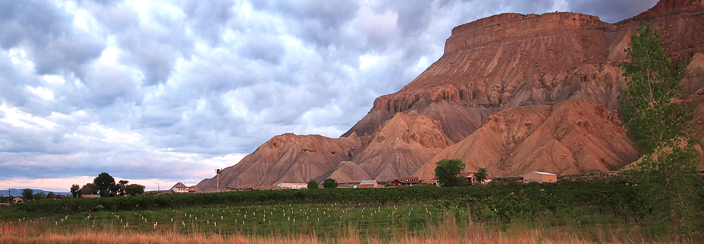 Palisade irrigation ditch